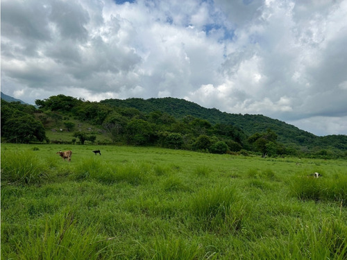 Impresionante Rancho En Manuel Avila Camacho - Tonalá