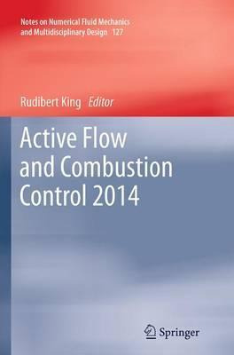 Libro Active Flow And Combustion Control 2014 - Rudibert ...