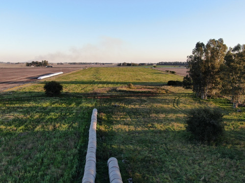 Imagen 4 de 6 de Chacra Sobre Ruta 12, Ombues De Lavalle