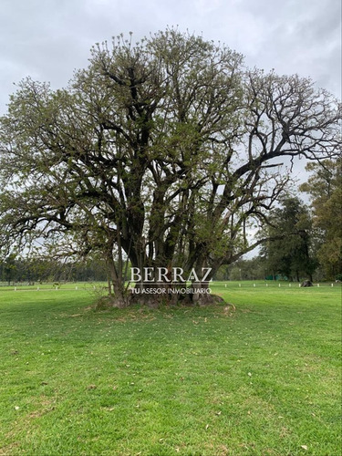Lote Venta De 1236 M2 En Club De Campo Los Palenques Manzanares Pilar