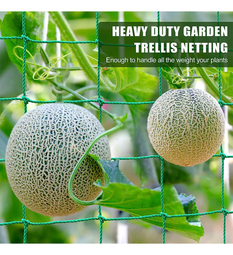 Trellis Netting Mesh Grow Net For Vines Fruits