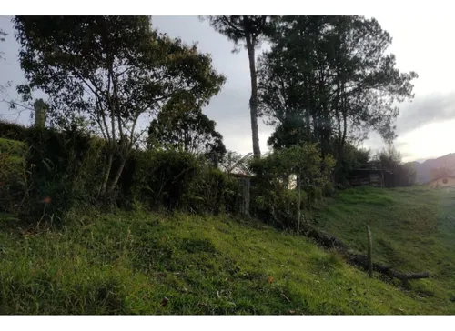 Lote En Venta En El Retiro Vía La Fe. Cod V50891