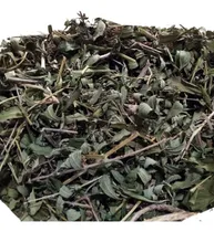 Comprar Poleo Para Infusión. Poleo Disecado X 50g.