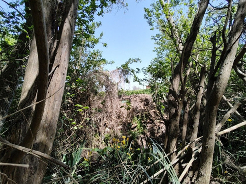 Imagen 26 de 30 de Importante Lote De 19.550 M², Ubicado En La Costa De Sarandí. Oportunidad
