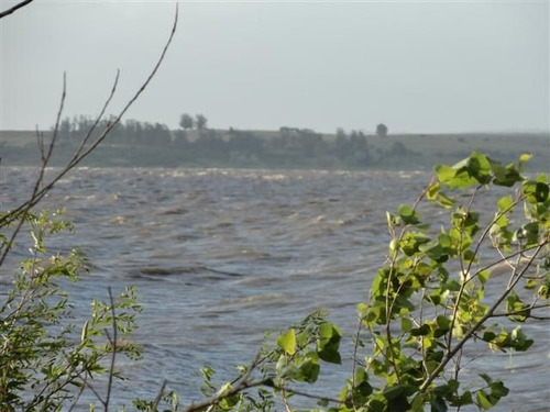 Quinta En Venta En Laguna Del Sauce