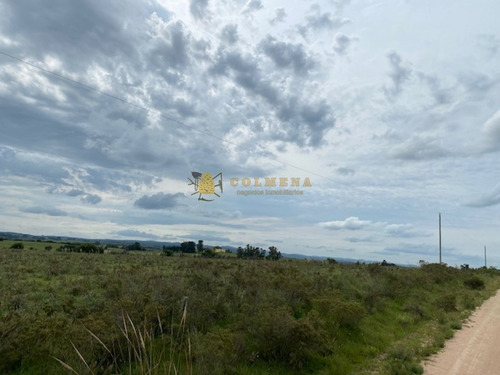 Campo En Garzon - Ideal Para Uso De Descanso - Consulte!!!!- Ref: 3606
