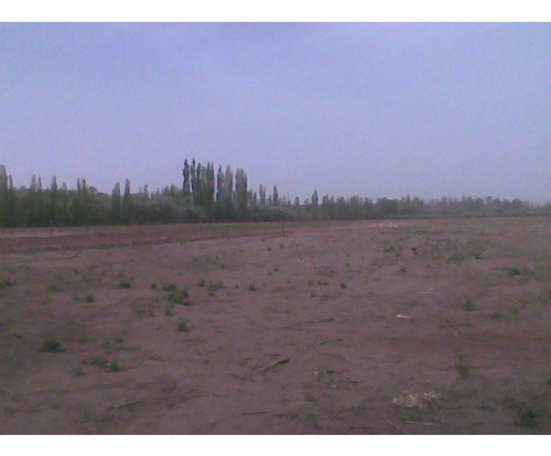 Imagen 5 de 15 de Terreno En Malargue Mendoza!