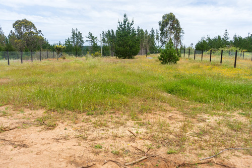 Terrenos En Condominio Costa Totoral - Algarrobo