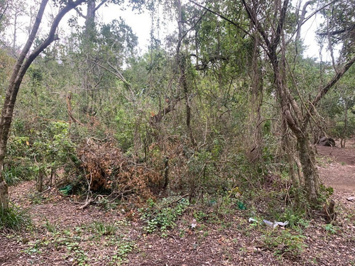Terreno Construccion En Pucón