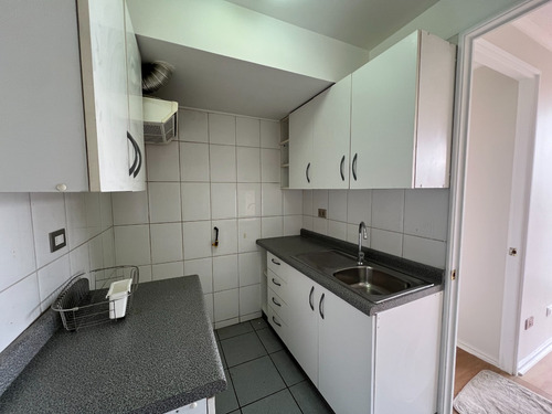 Departamento En Galvarino