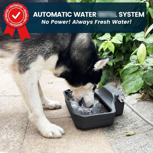 Dispensador Automático De Agua Para Perros Marca Xyz Modelo Gris