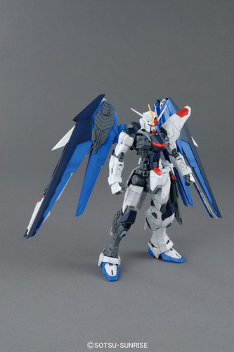Gundam Freedom 2.0 Mg Kit Master Grade 1/100 Gunpla Japon