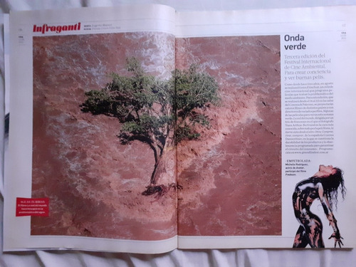 Revista Viva Ezequiel Lavezzi (Usado)
