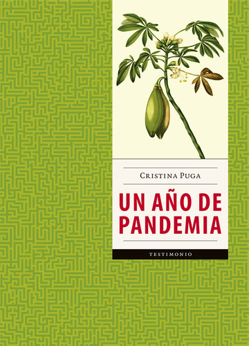 Un Año De Pandemia, De Puga, Cristina. Editorial Ficticia, Tapa Blanda, Edición 1.0 En Español, 2022