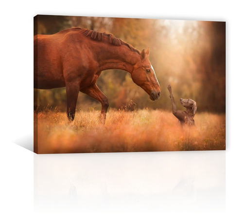 Cuadro Decorativo Canvas Animales Caballo Y Perro Amigos