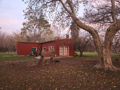 Imagen 6 de 8 de Alquilo Campo Ganadero Sobre Ruta 11 Con Casa Y Mejoras, 15 Min Del Centro De La Plata.