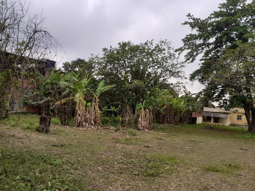 Imagem 24 de 30 de Chácara Em Parque Capivari, Duque De Caxias/rj De 3000m² 4 Quartos À Venda Por R$ 390.000,00 - Ch684259-s