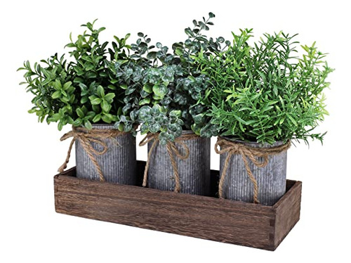Set Of 3 Mini Potted Plants Arrangement Faux Boxwood Eu...