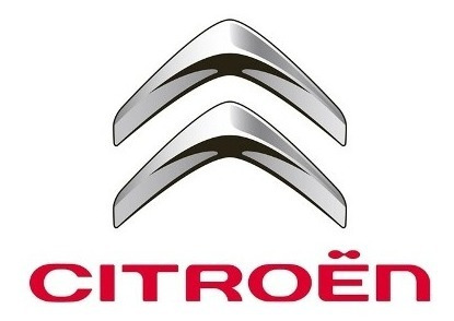 Amortiguador Delantero Izquierdo Citroen C4