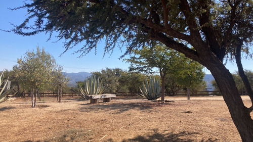 Vendo Parcela En Hacienda Los Aromos A Minutos De Limache