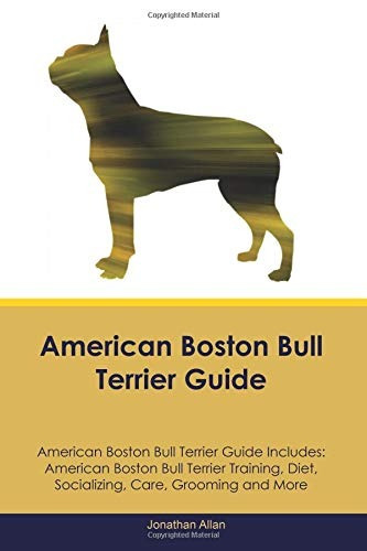 American Boston Bull Terrier Guide American Boston Bull Terr