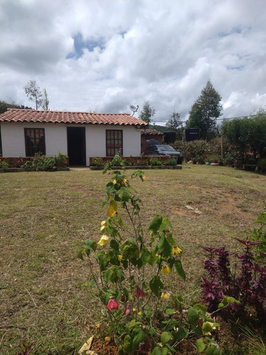 Vendo Finca Entre San Pedro De Los Milagros Y Belmira