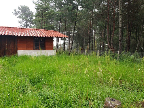 Imagen 2 de 9 de Vendo Cabaña En Zacatlan, Puebla