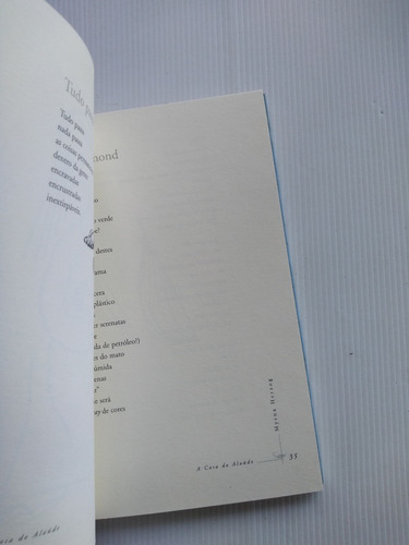 Livro - A Casa Do Alaúde - Myrna Herzog -