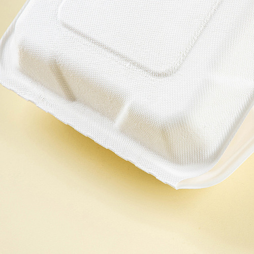 Contendor Biodegradable Para Hamburguesa 6x6' 50 Pzs