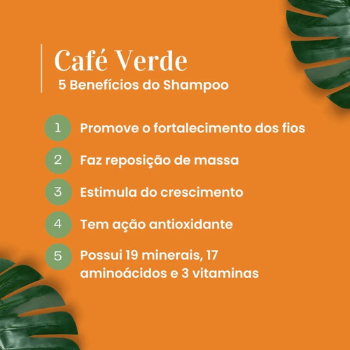 Shampoo Day By Day Café Verde Pantovin 250ml Hidratação