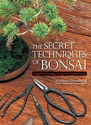 The Secret Techniques Of Bonsai A Guide To Starting, Raising