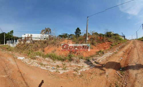 Imagem 1 de 10 de Terreno À Venda, 2424 M² Por R$ 1.000.000,00 - Jardim Jóia - Arujá/sp - Te0719