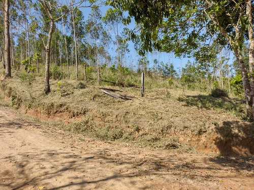 Imagem 9 de 14 de 06e- Lote Para Chácara 1000m2 Plano 100% (igaratá)