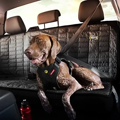 Drive harness sales