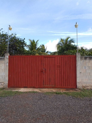 Venta Amplio Terreno De 6000 M2 Tahdzibichen, Merida, Yucatan.