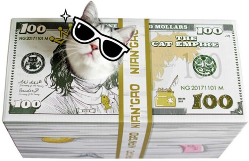 Casa Cama Para Gatos- Rascador Juguete Forma Billete