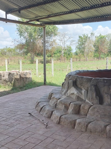 Imagen 5 de 16 de En Venta Finca En Maturin