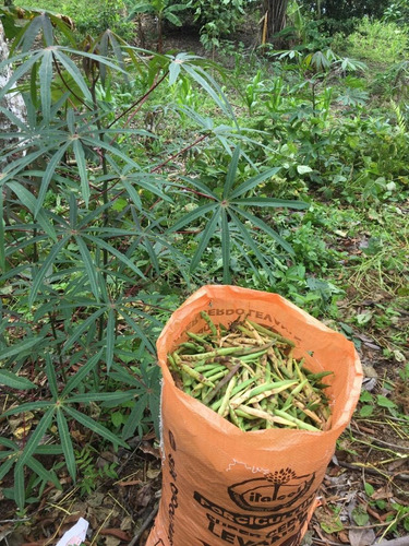 Imagen 9 de 23 de Finca 32 Has/lotes De 3 Has