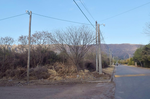 Imagen 12 de 21 de Terreno - Nuevo Merlo