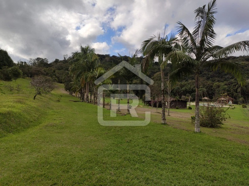 Imagem 26 de 30 de Excelente Sitio Com Topografia Plana, Rico Em Aguá - 12 - 69839868