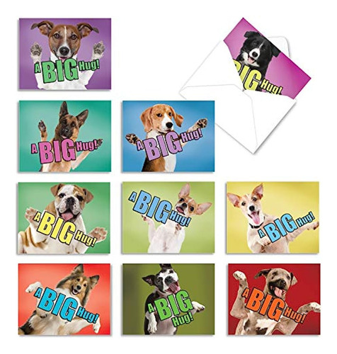 The Best Card Company - 10 Tarjetas De Felicitación De Perro