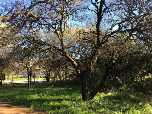 Imagen 2 de 8 de Compre Naturaleza Y Seguridad Lote 1000 Mt2
