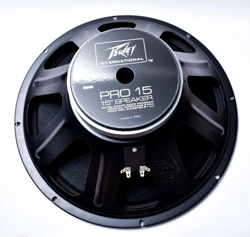 Peavey hotsell pro 15