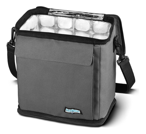 Enfriador De 12 Latas Congelable Flexifreeze (carbón Vegetal