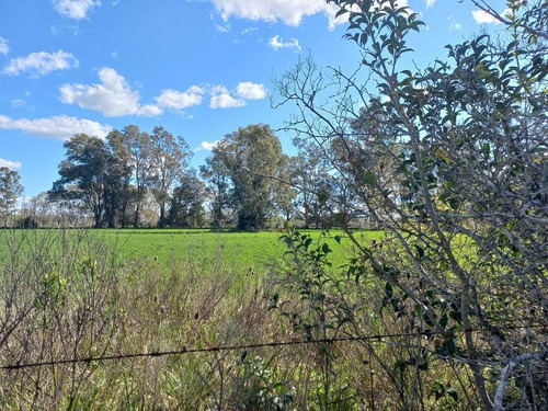 Imagen 13 de 21 de Chacra - 47 Has Panamericana Ramal Pilar Km 61