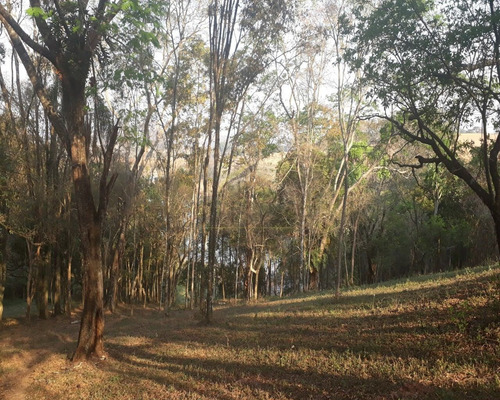 Imagem 15 de 22 de Chácara Na Represa À Venda Em Bragança Paulista Sp - Ch00042 - 68498907