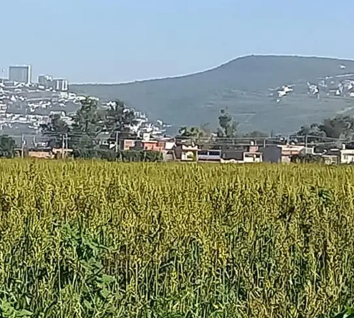 Se Venden 10 Hectáreas Irapuato Gto