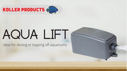 Koller Products Bomba Dosificadora Aqua Lift De 3 Gph, Gris