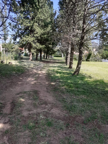 Dos Casas En Lote De 1 Hectarea En Juana Koslay San Luis