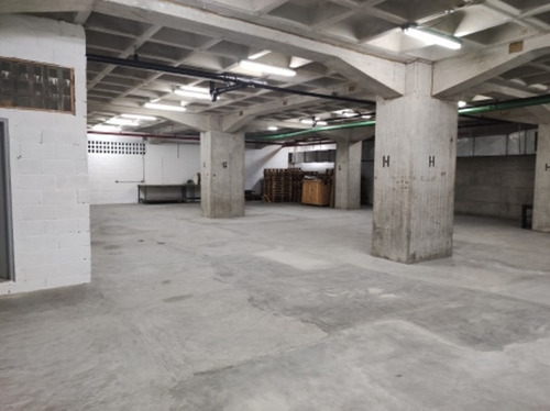 Imagen 5 de 13 de Alquilo Planta Industrial En Boleita Norte. 500 M2 7506